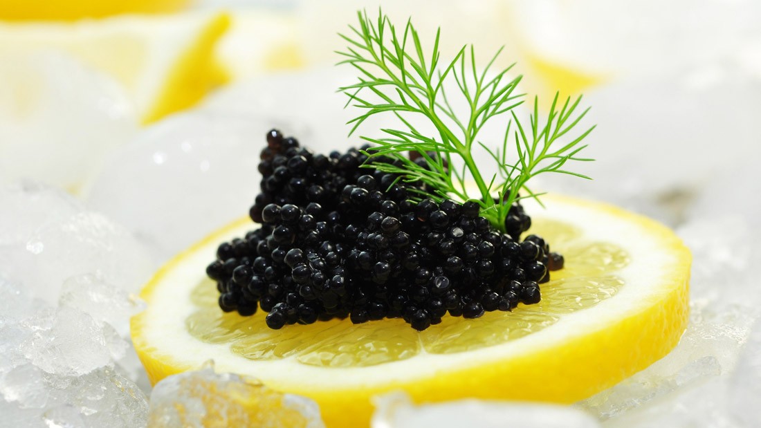 Abu Dhabi erfolgreich mit Kaviarproduktion in der Wüste 